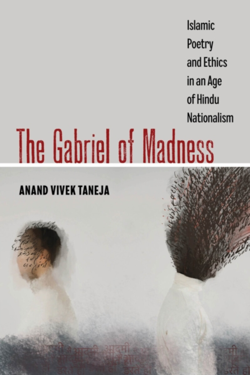 The Gabriel of Madness - Anand Vivek Taneja