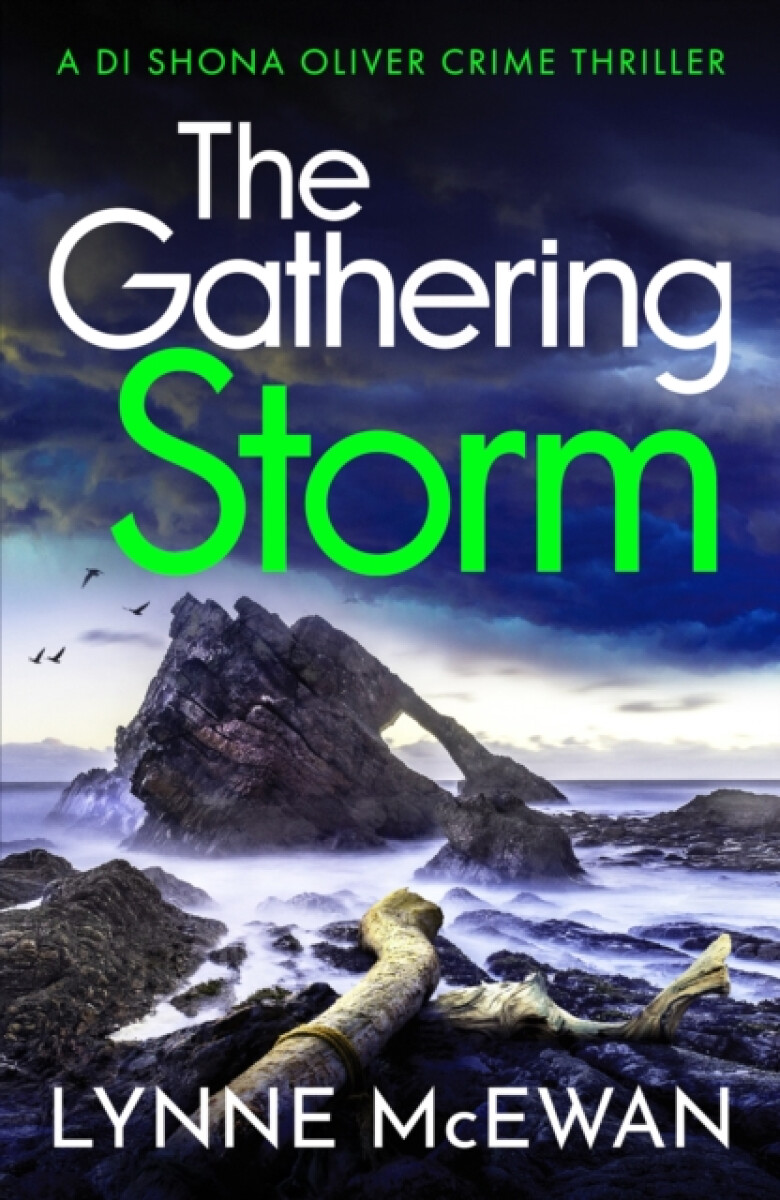 Kniha Gathering Storm