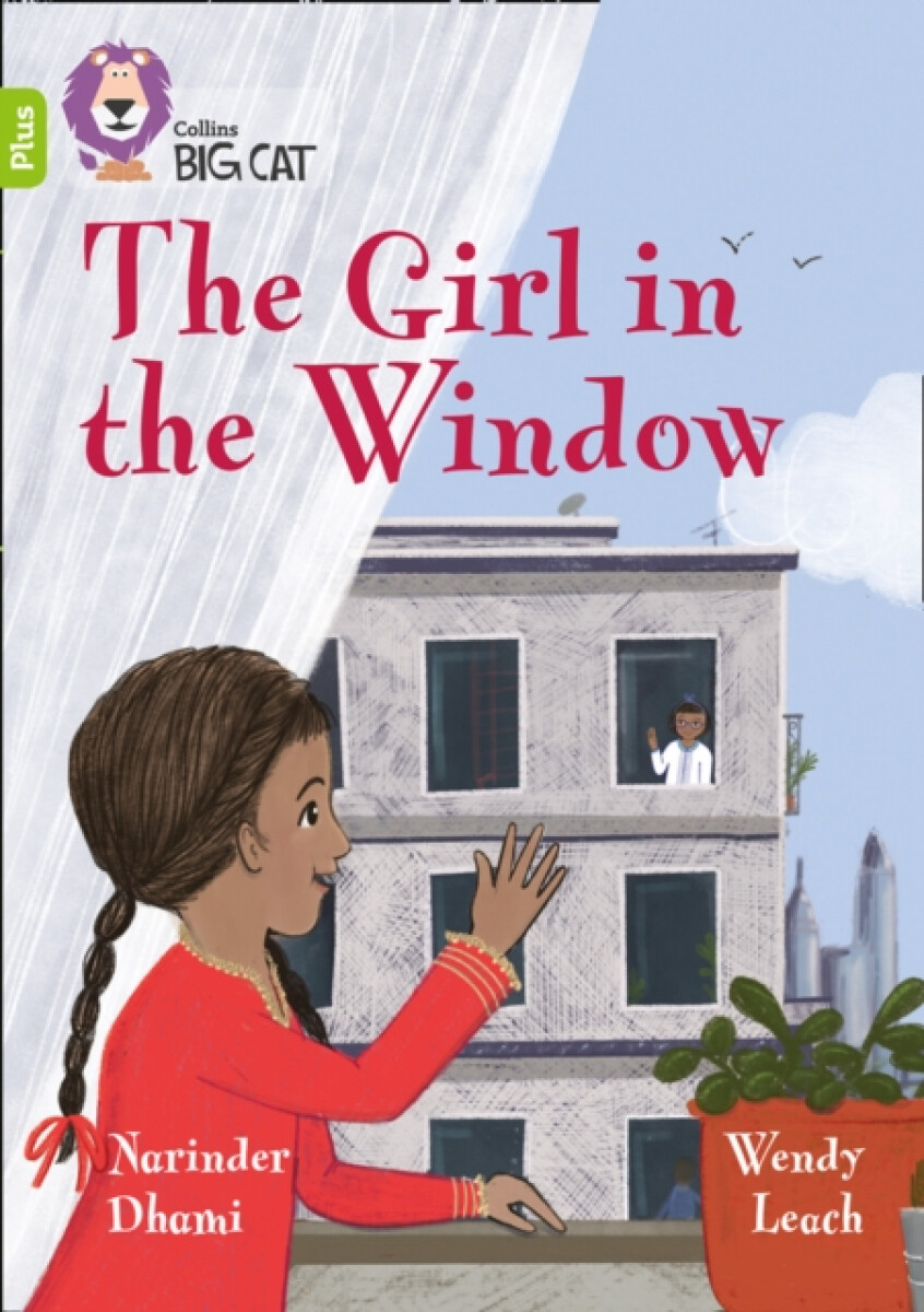 Kniha Girl in the Window