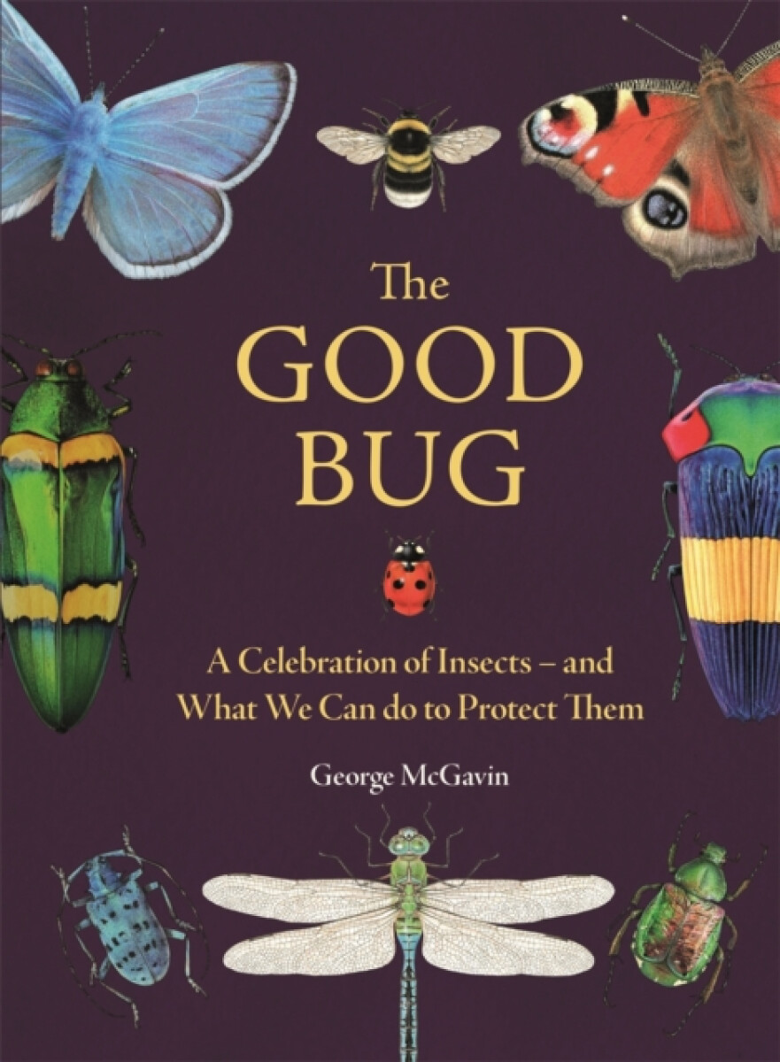 Kniha Good Bug