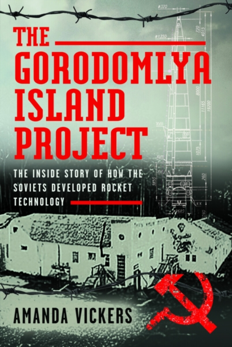 Kniha Gorodomlya Island Project