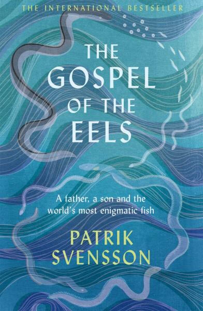 Kniha The Gospel of the Eels