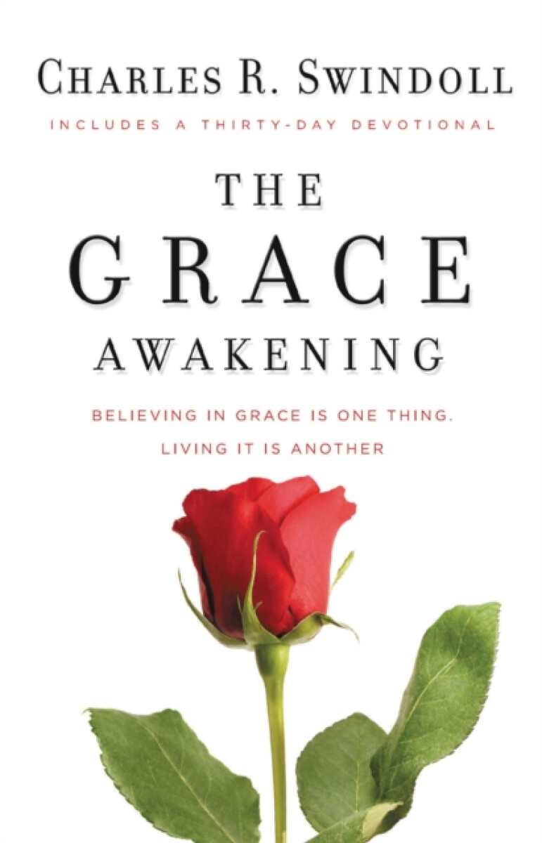 Kniha Grace Awakening