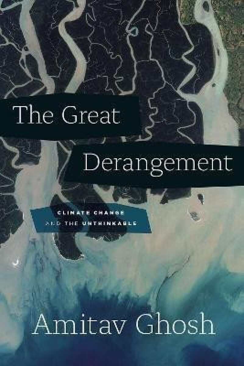 Kniha Great Derangement