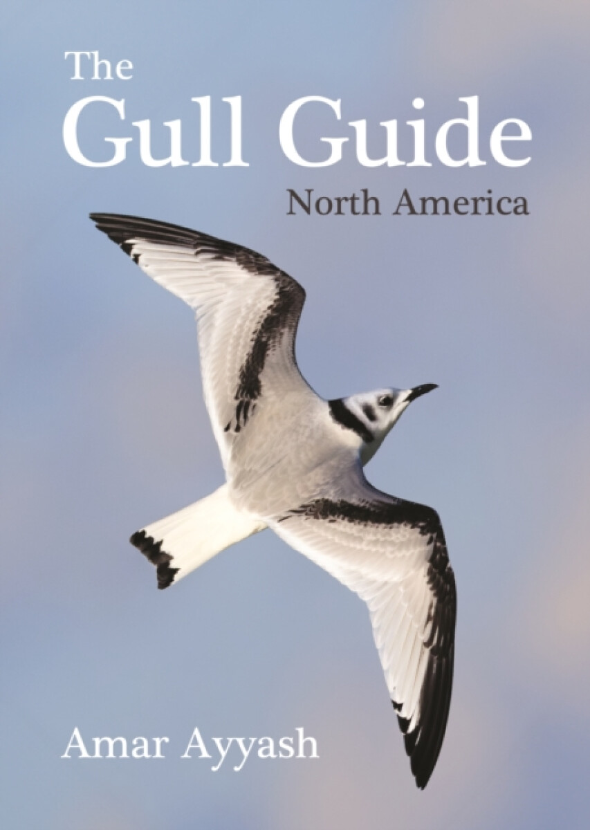 Kniha Gull Guide