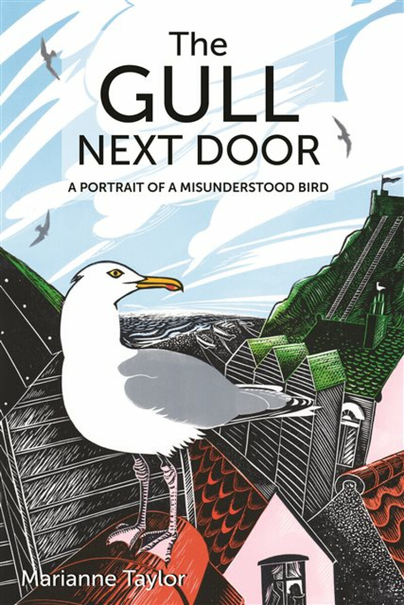 Kniha Gull Next Door