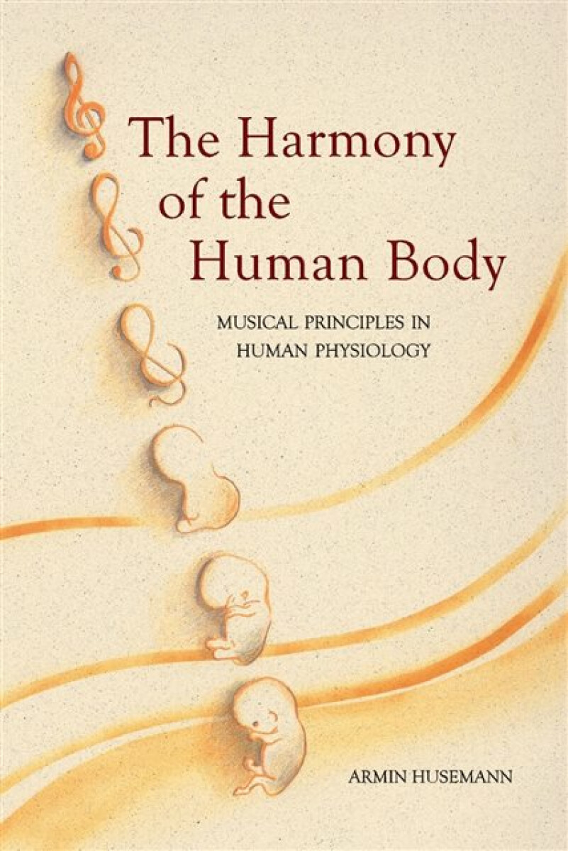 Kniha Harmony of the Human Body