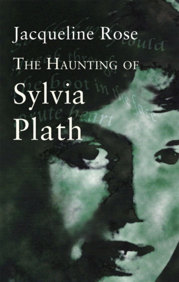 Kniha Haunting Of Sylvia Plath