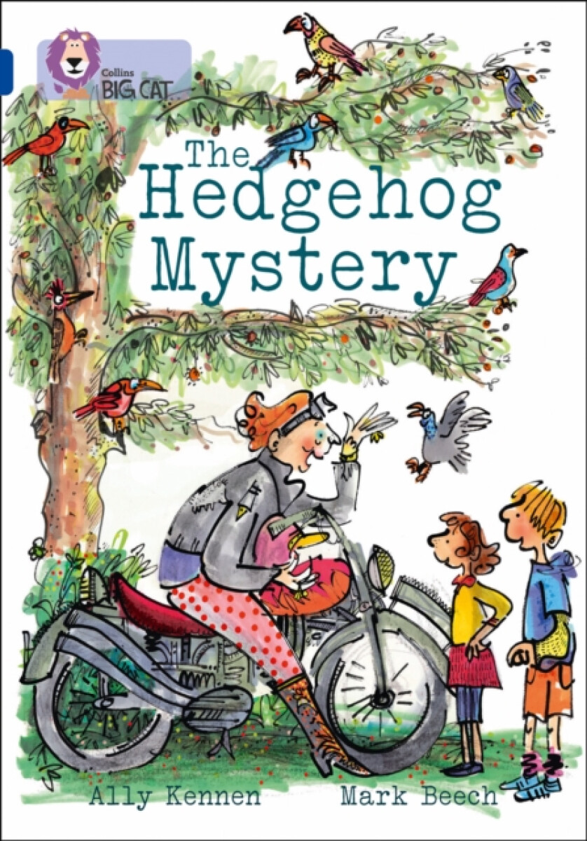 Kniha Hedgehog Mystery