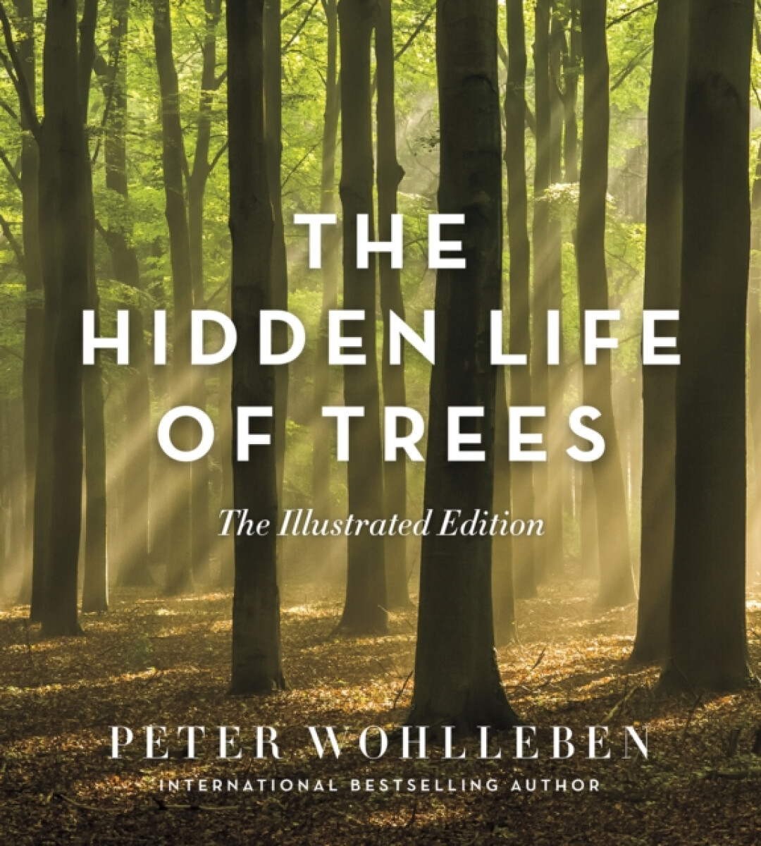 Kniha The Hidden Life of Trees: The Illustrated Edition