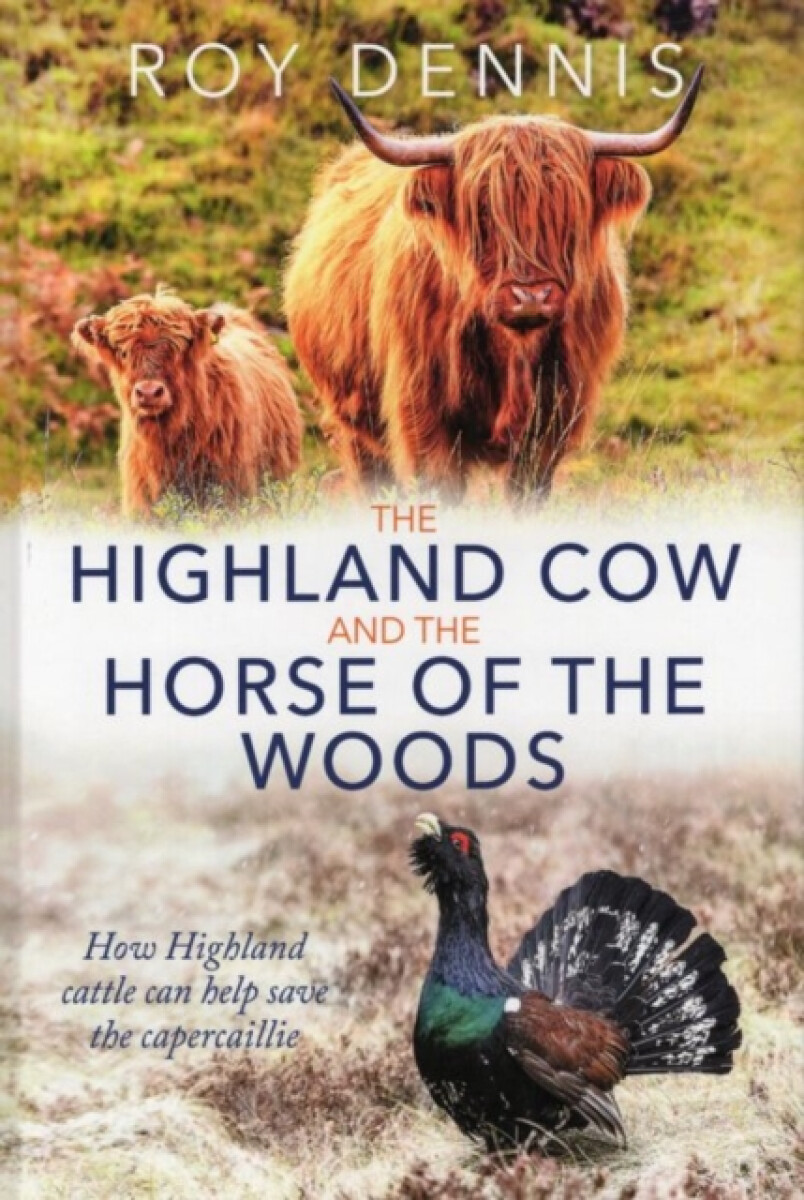 Kniha Highland Cow and the Horse of the Woods