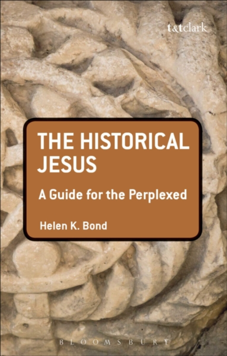 Kniha Historical Jesus: A Guide for the Perplexed