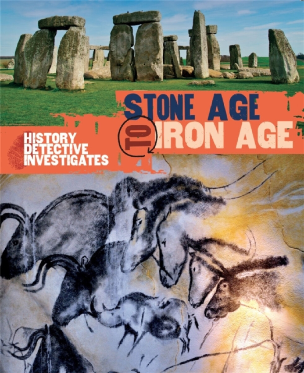 Kniha History Detective Investigates: Stone Age to Iron Age