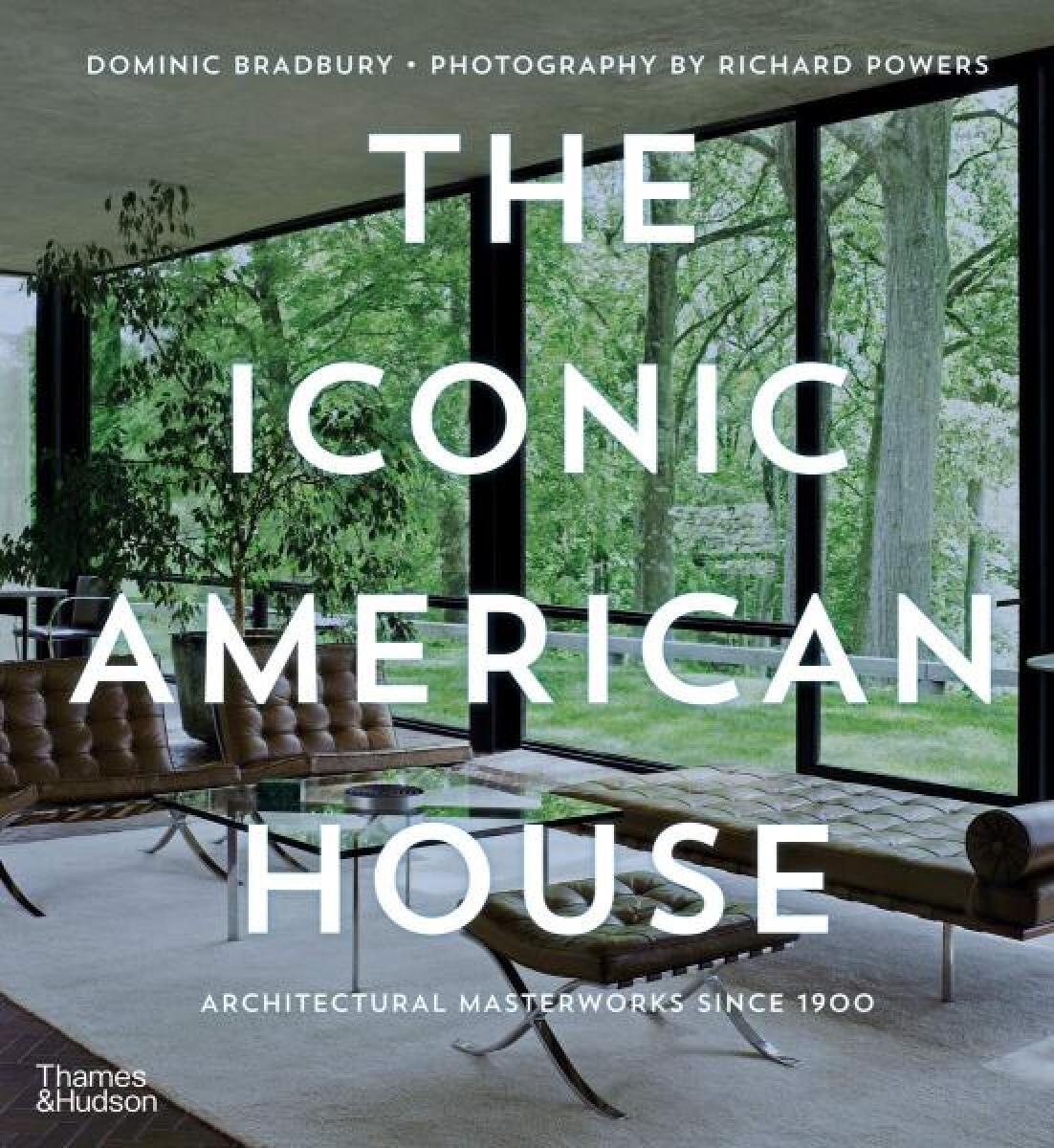 Kniha The Iconic American House