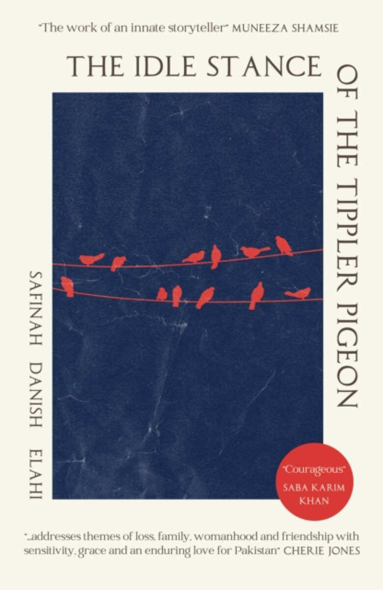 Kniha Idle Stance of the Tippler Pigeon