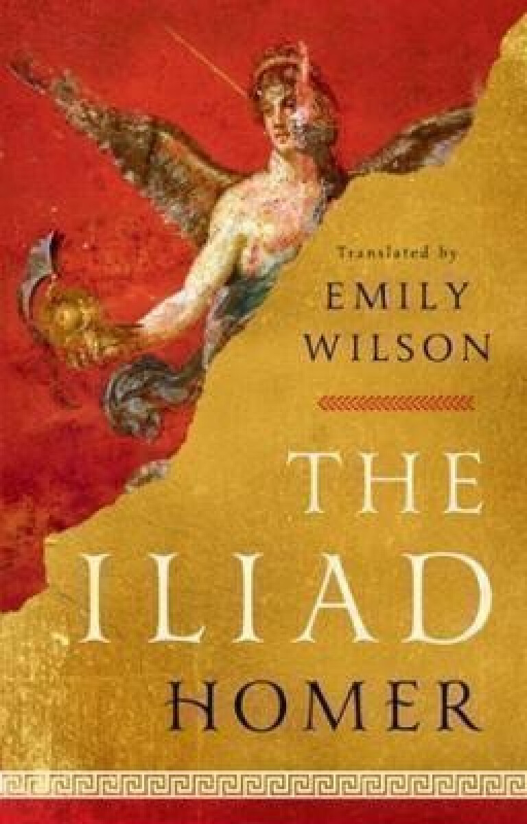 Kniha The Iliad