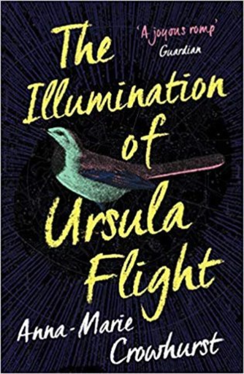 Kniha Illumination of Ursula Flight