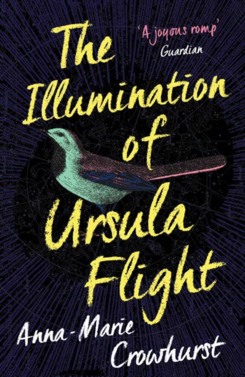 Kniha Illumination of Ursula Flight