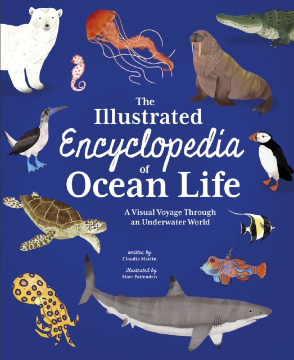 Kniha Illustrated Encyclopedia of Ocean Life
