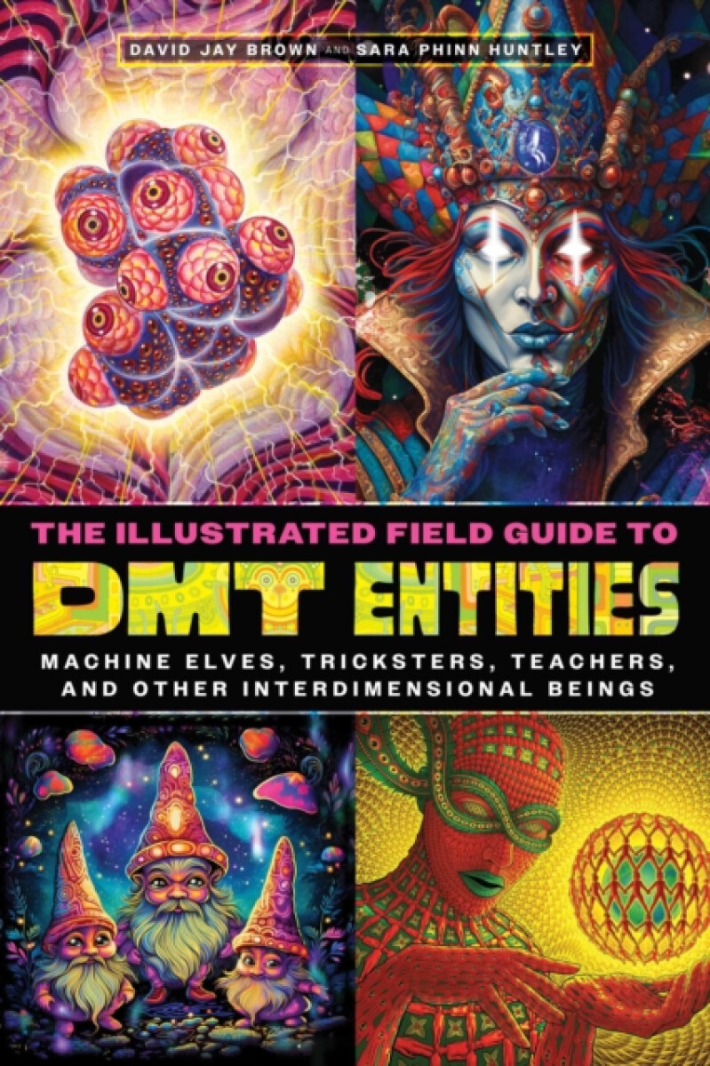 Kniha Illustrated Field Guide to DMT Entities