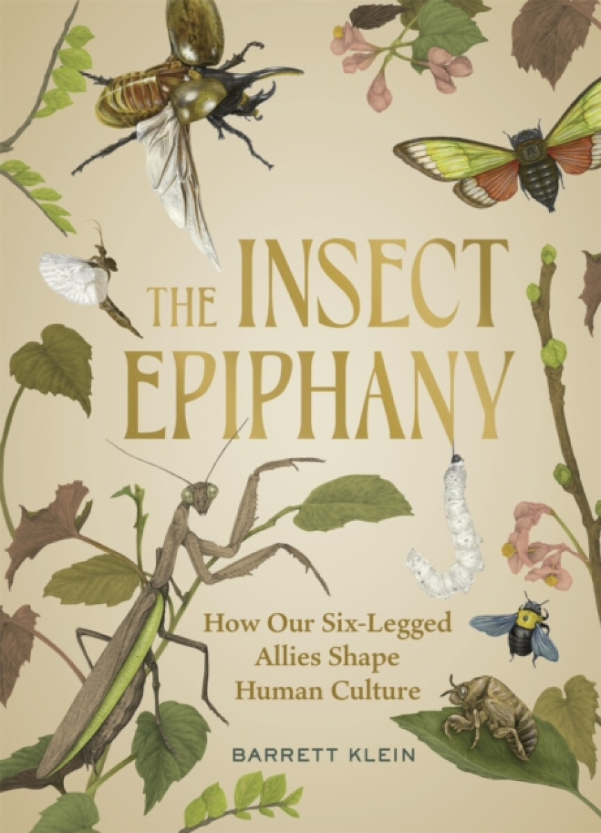 Kniha The Insect Epiphany
