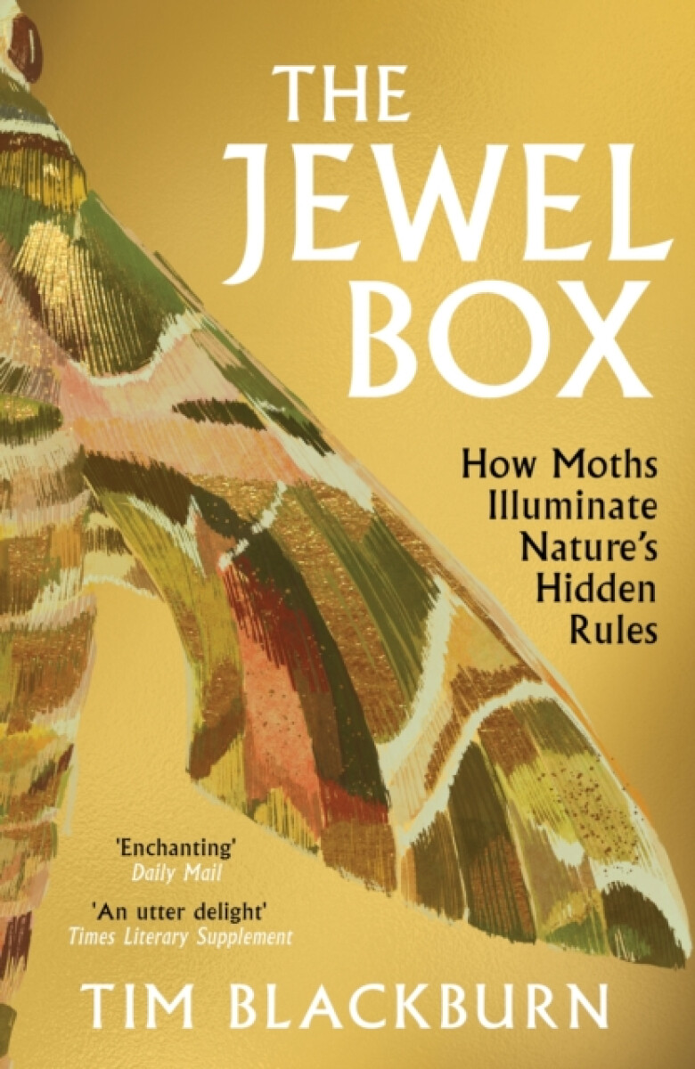 Kniha Jewel Box