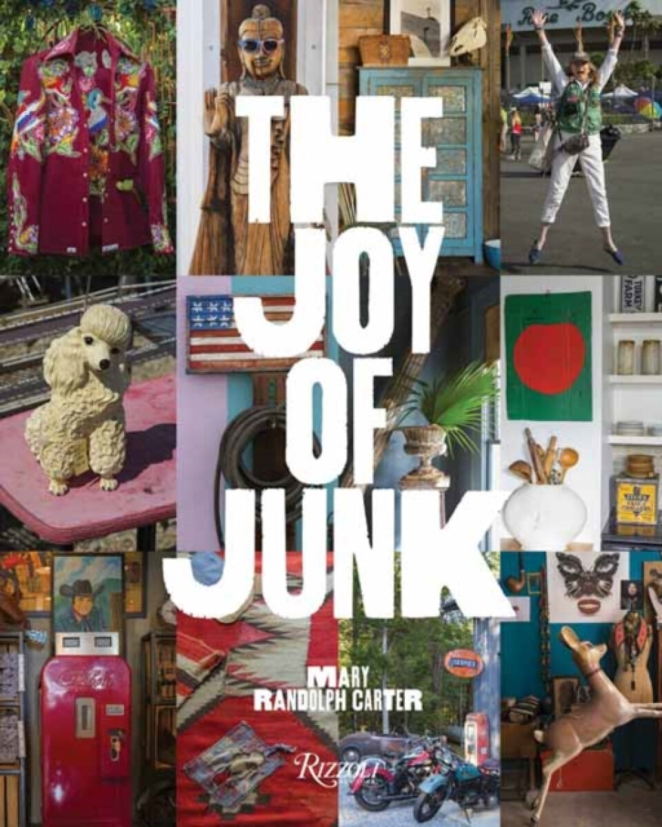 Kniha Joy of Junk