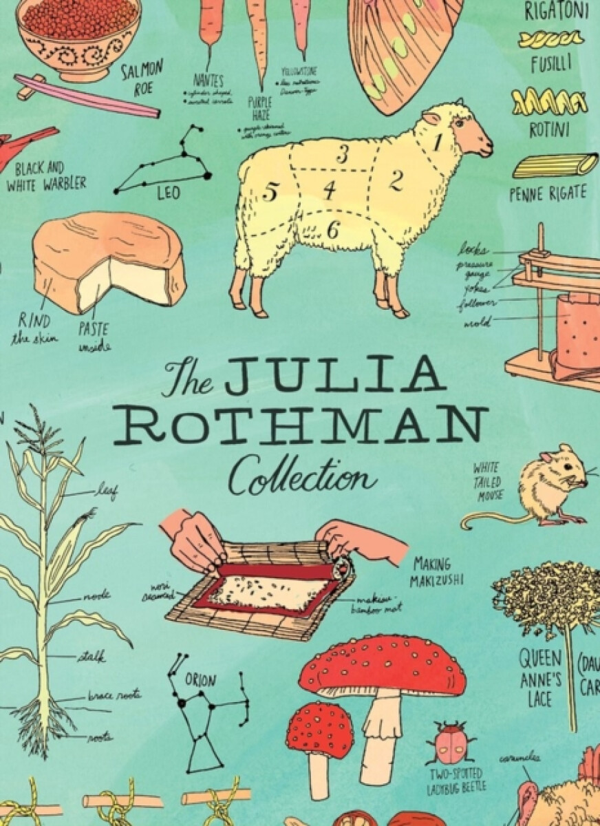 Kniha Julia Rothman Collection