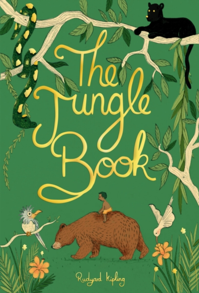 Kniha Jungle Book