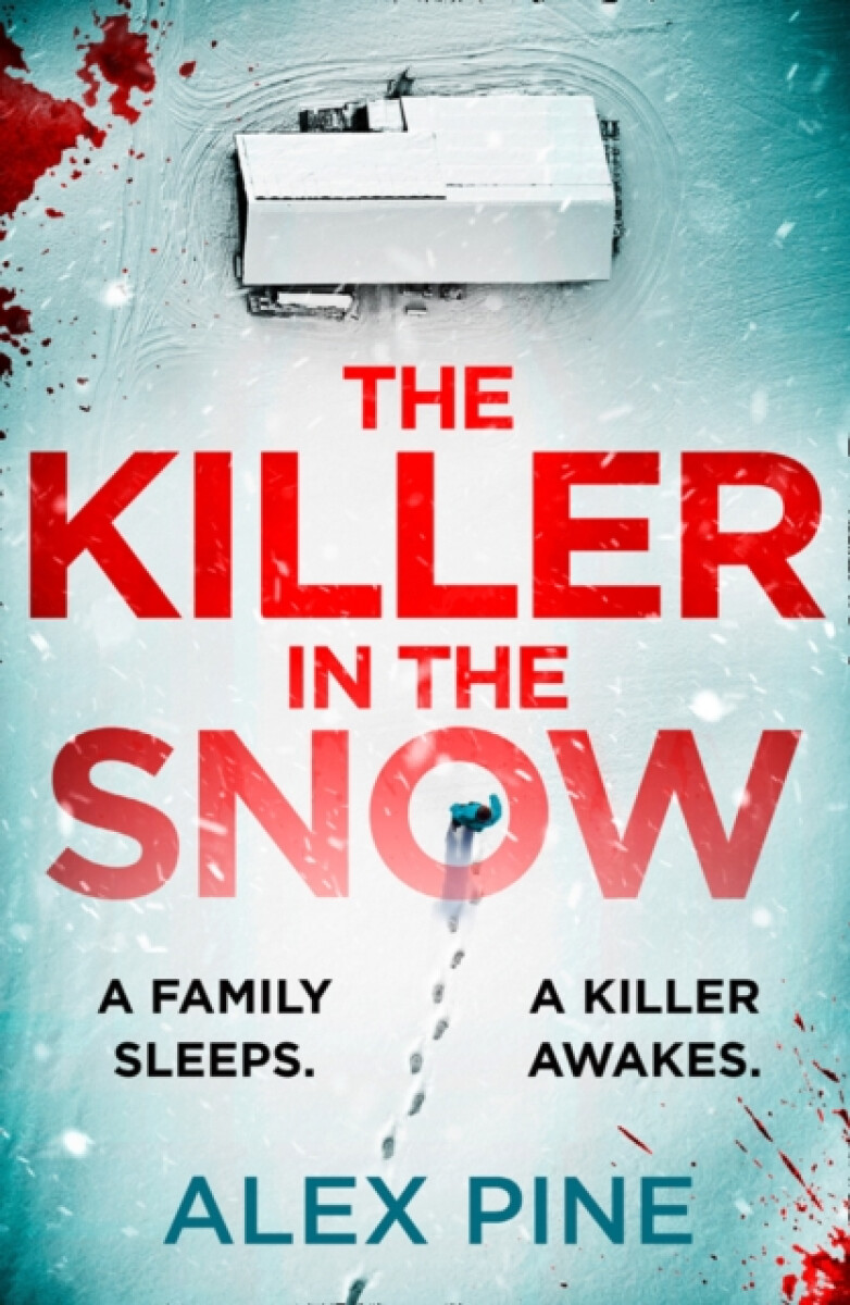 Kniha Killer in the Snow