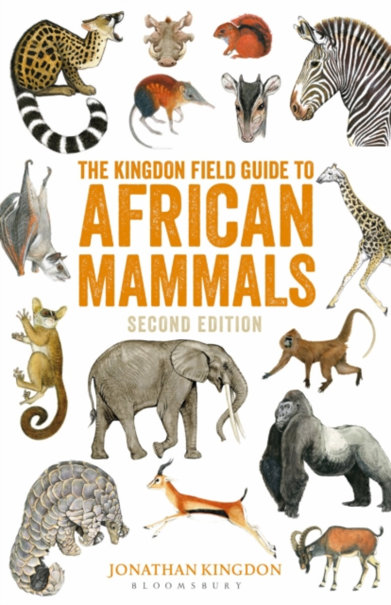 Kniha Kingdon Field Guide to African Mammals