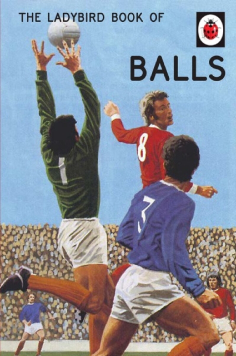 Kniha Ladybird Book of Balls