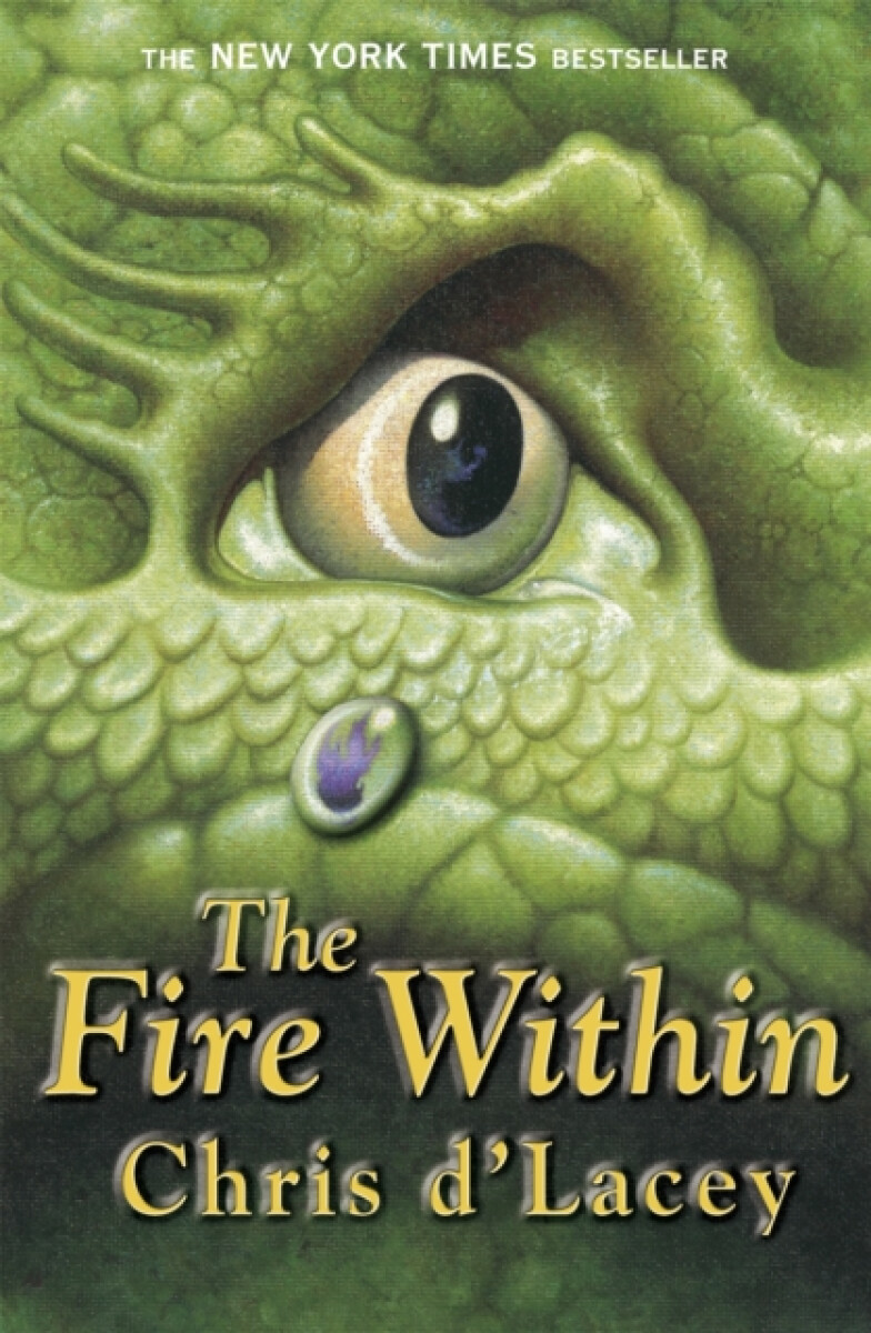 Kniha Last Dragon Chronicles: The Fire Within