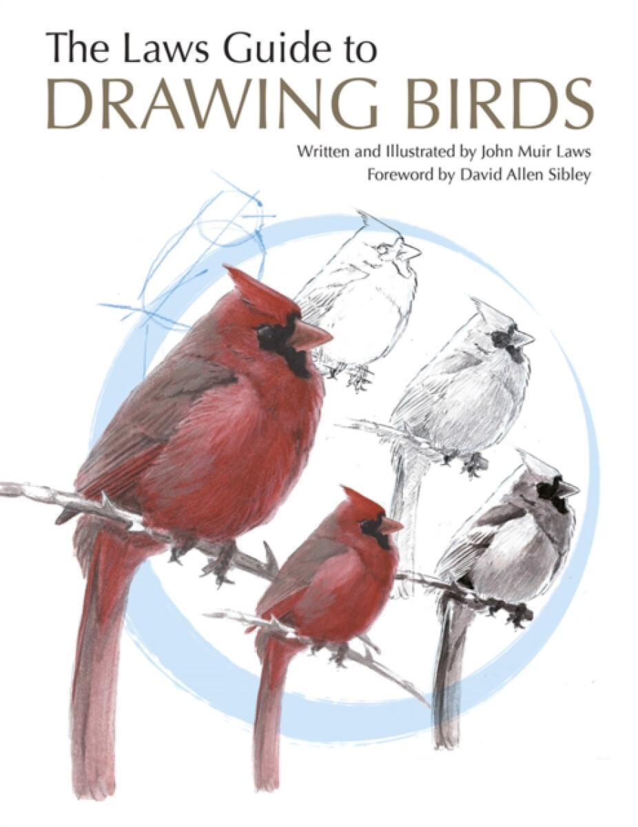 Kniha Laws Guide to Drawing Birds