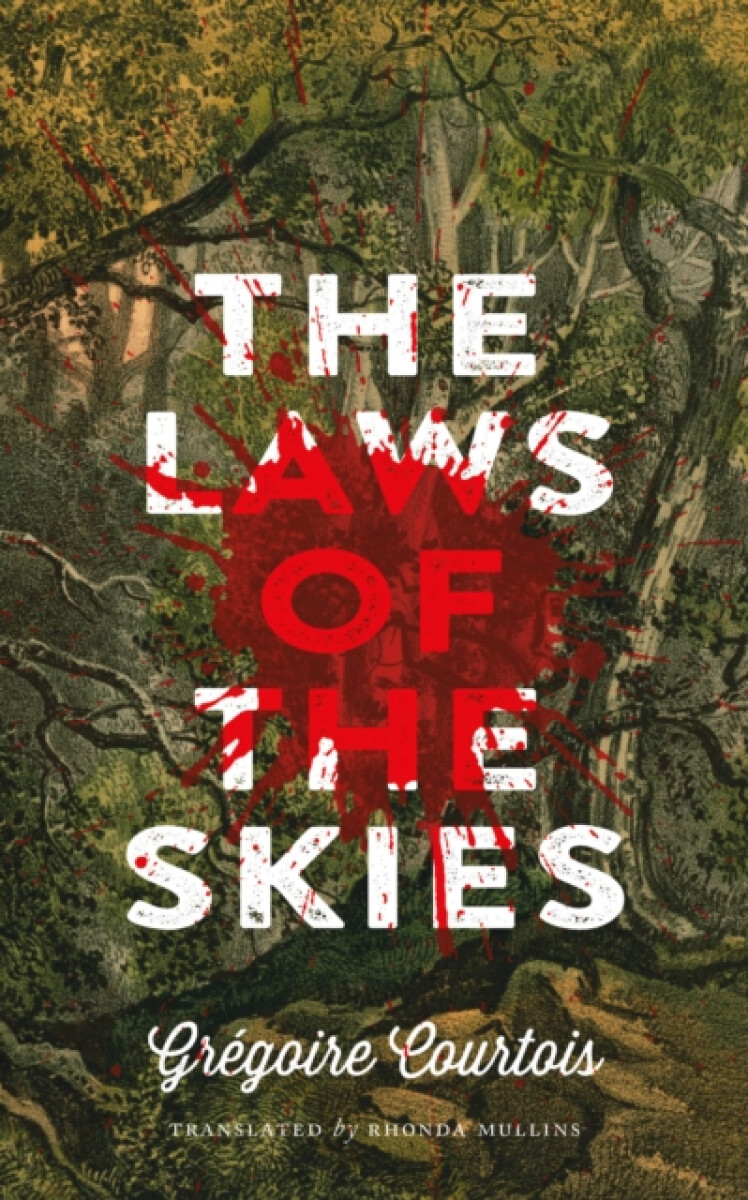 Kniha Laws of the Skies