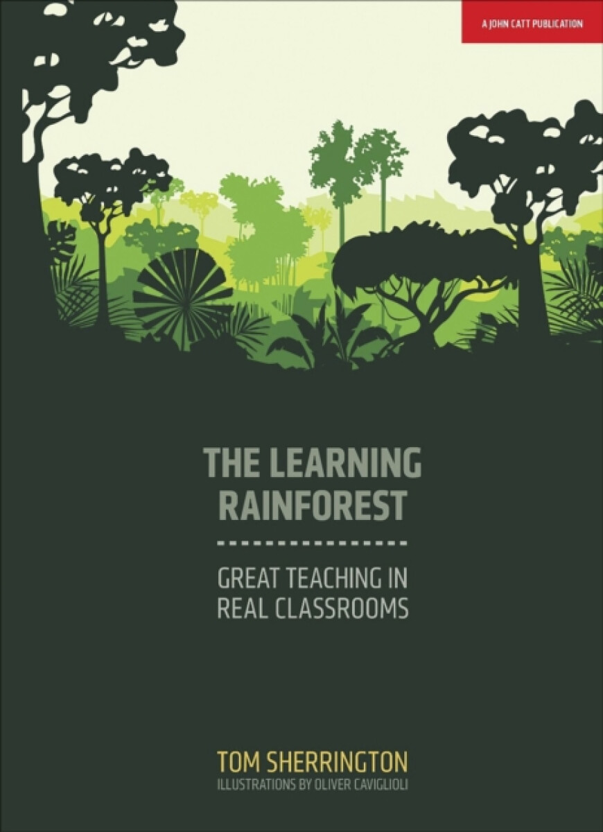 Kniha Learning Rainforest: Great Teaching in Real Classrooms