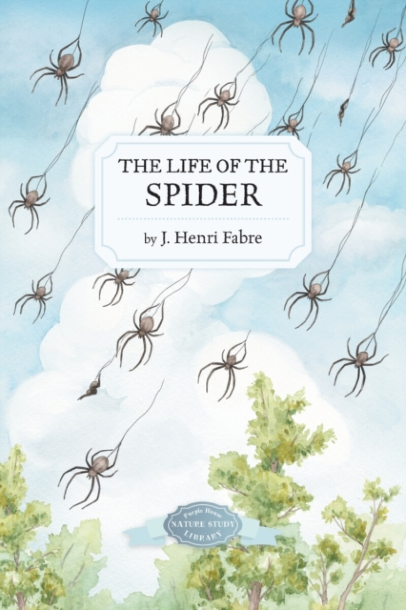 The Life of the Spider - Fabre Jean Henri