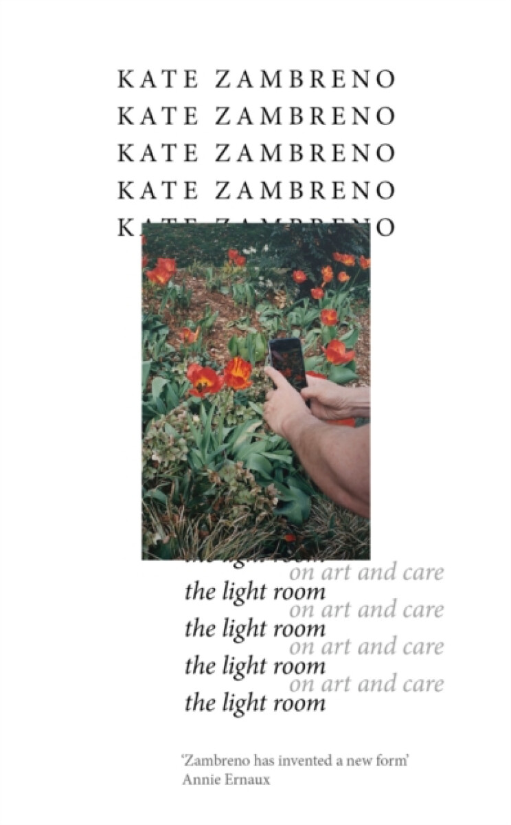 Kniha Light Room