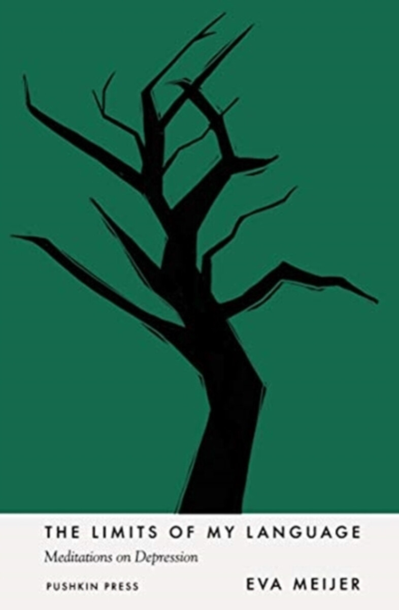 Kniha Limits of My Language