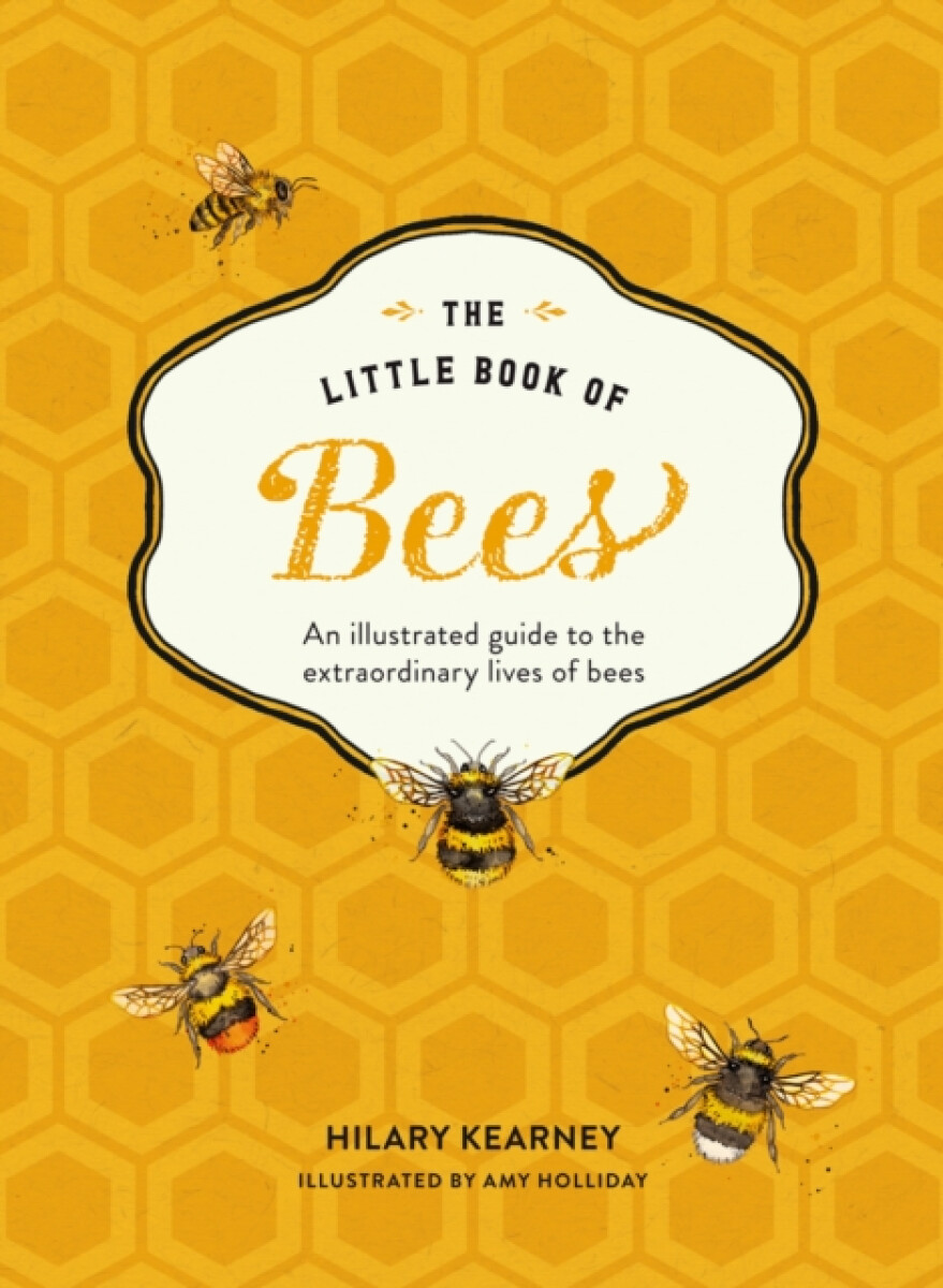 Kniha Little Book of Bees