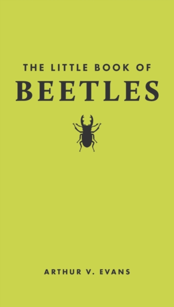 Kniha Little Book of Beetles