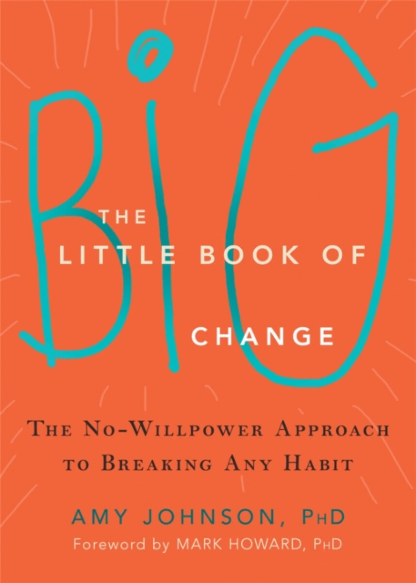 Kniha Little Book of Big Change