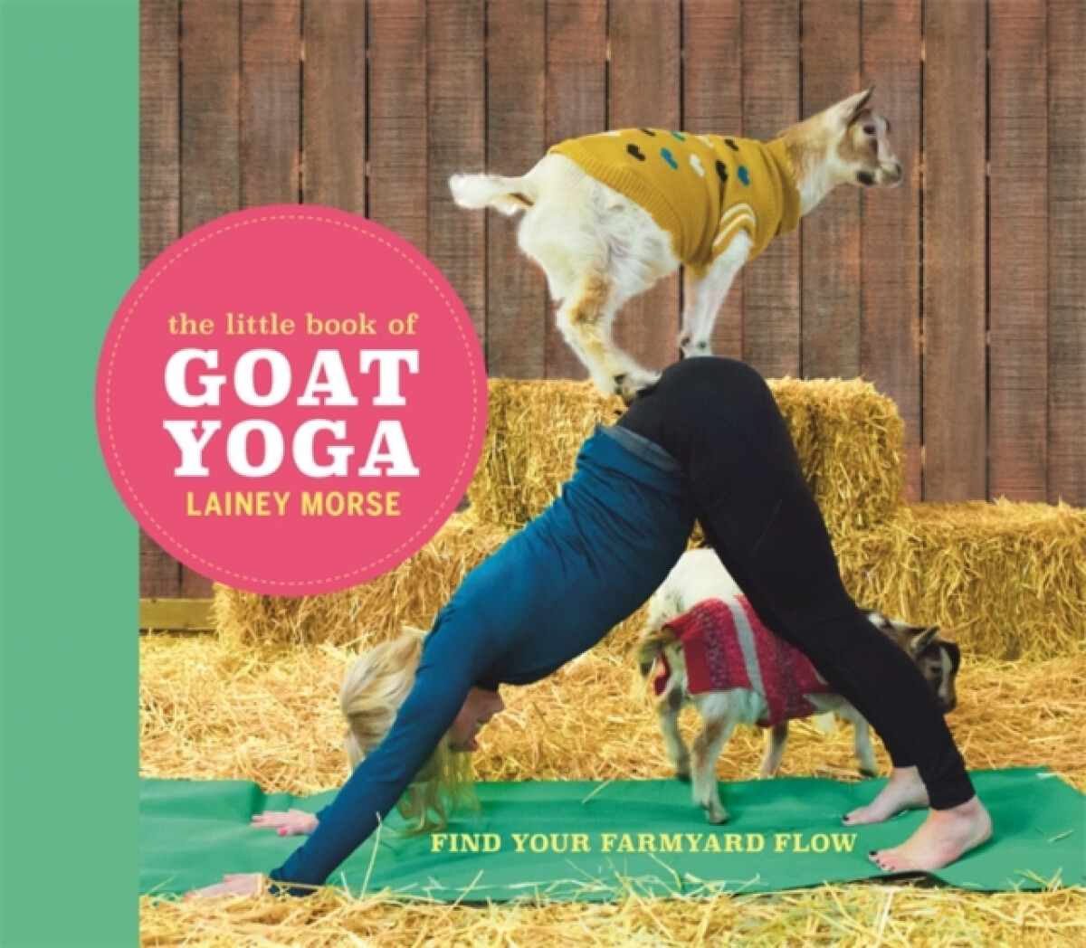 Kniha Little Book of Goat Yoga