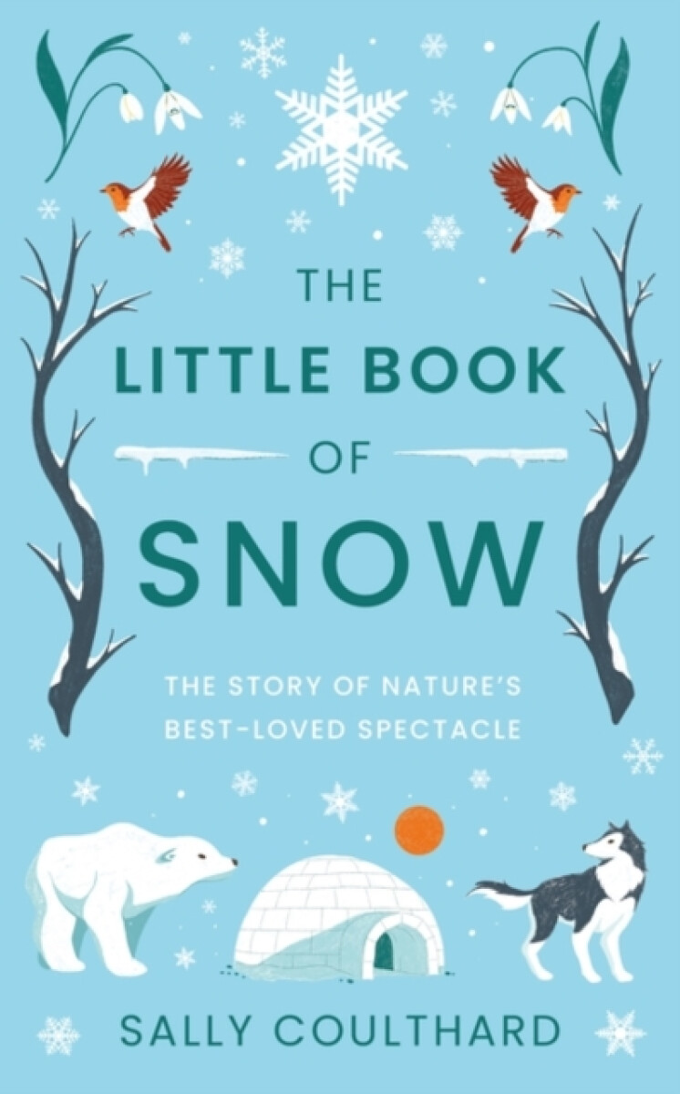 Kniha Little Book of Snow