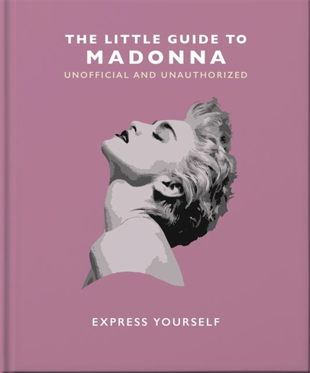 Kniha Little Guide to Madonna