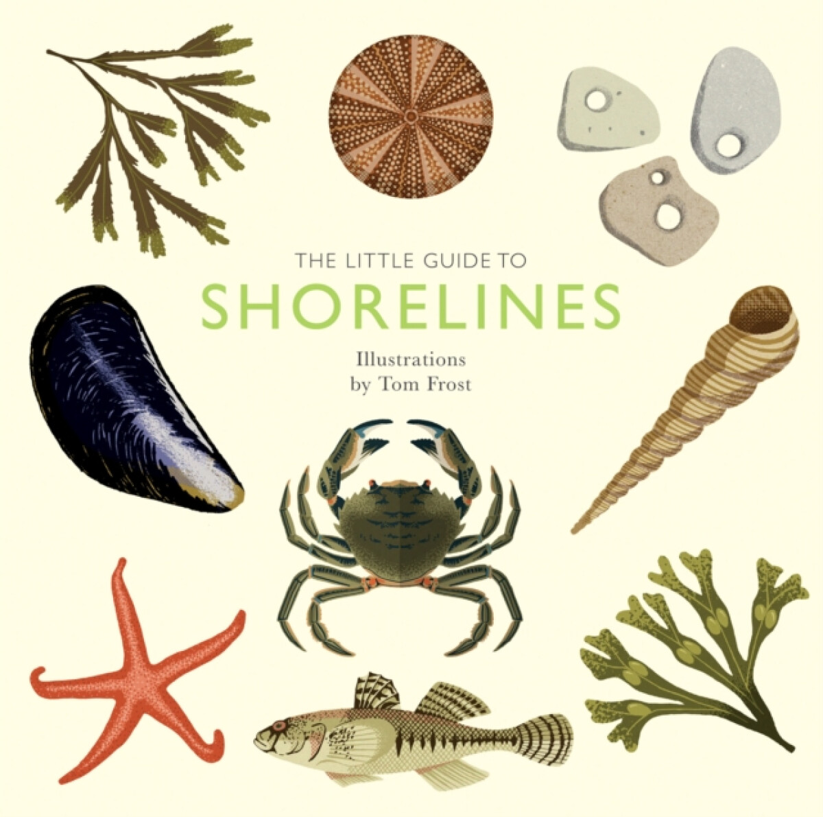 Kniha Little Guide to Shorelines