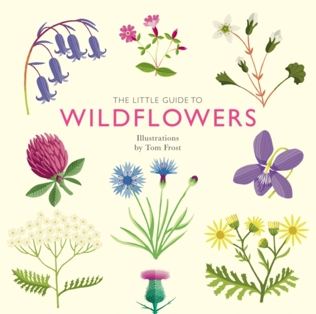 Kniha Little Guide to Wildflowers