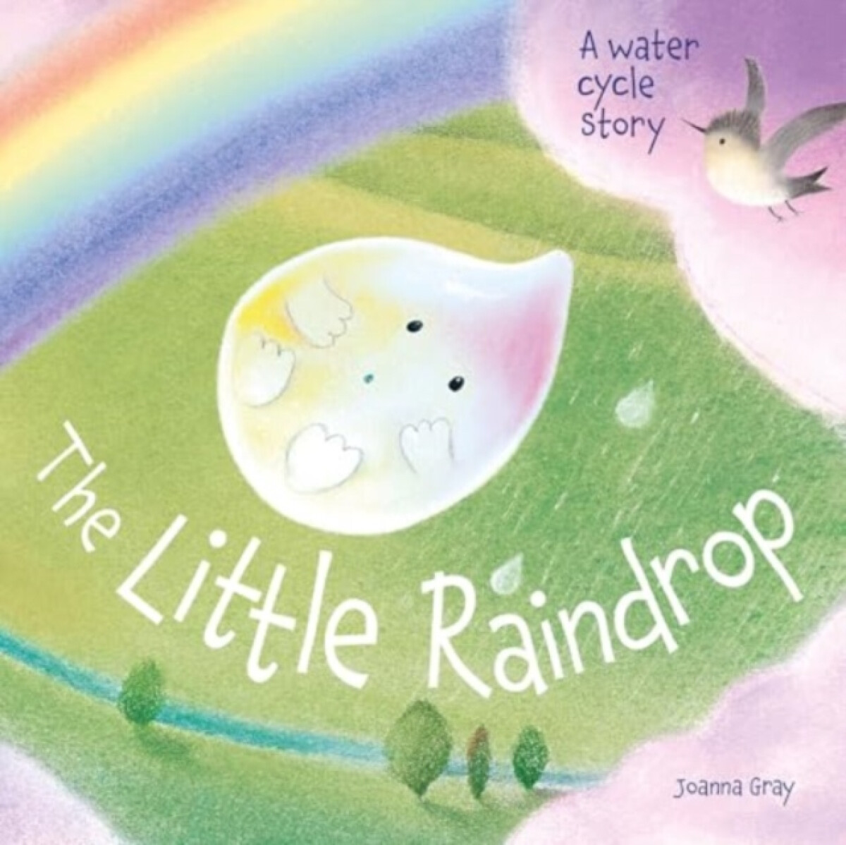 Kniha The Little Raindrop - A water cycle story