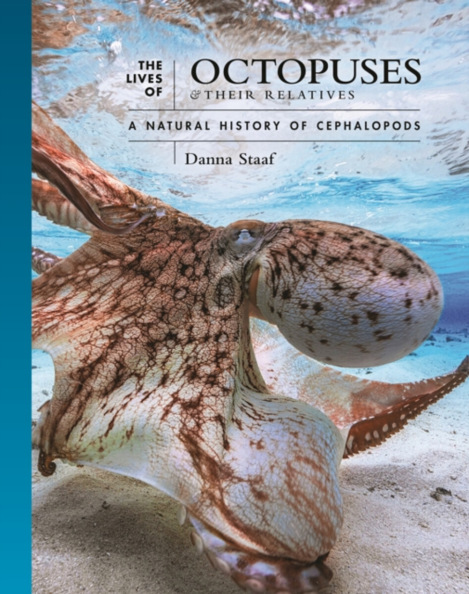 Kniha Lives of Octopuses and Their Relatives
