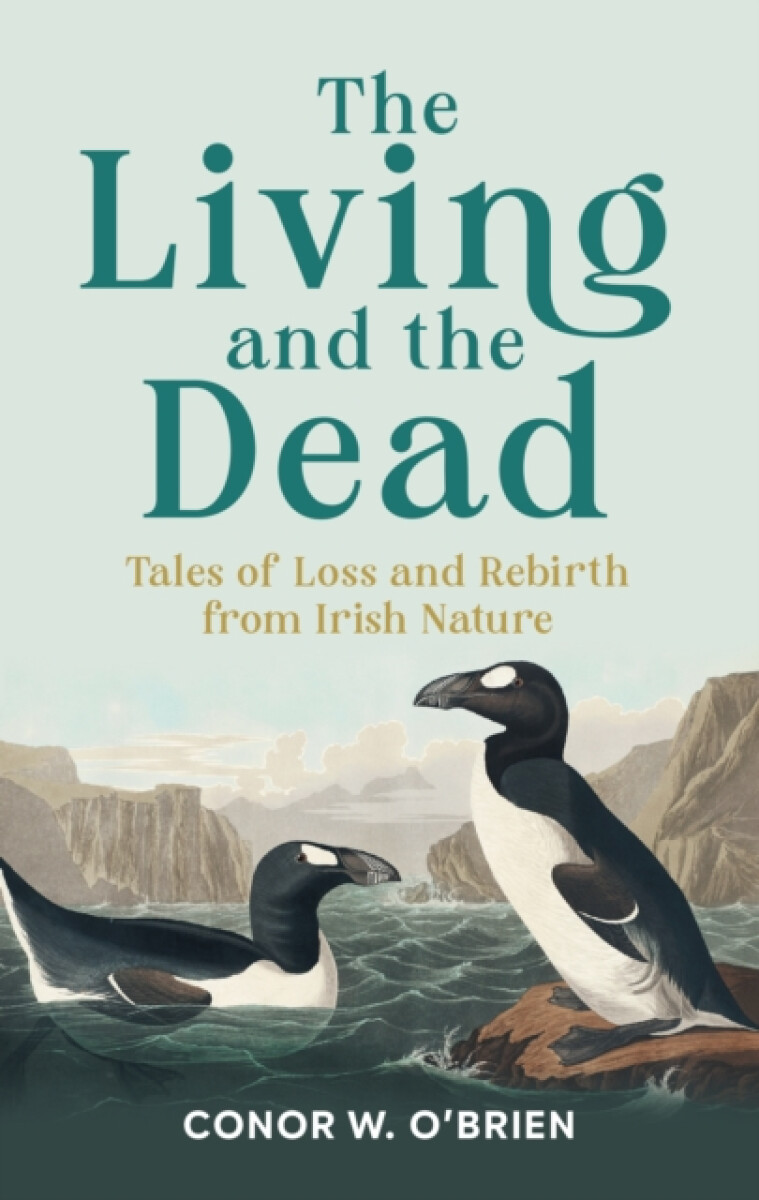The Living and the Dead - Conor W. O'Brien